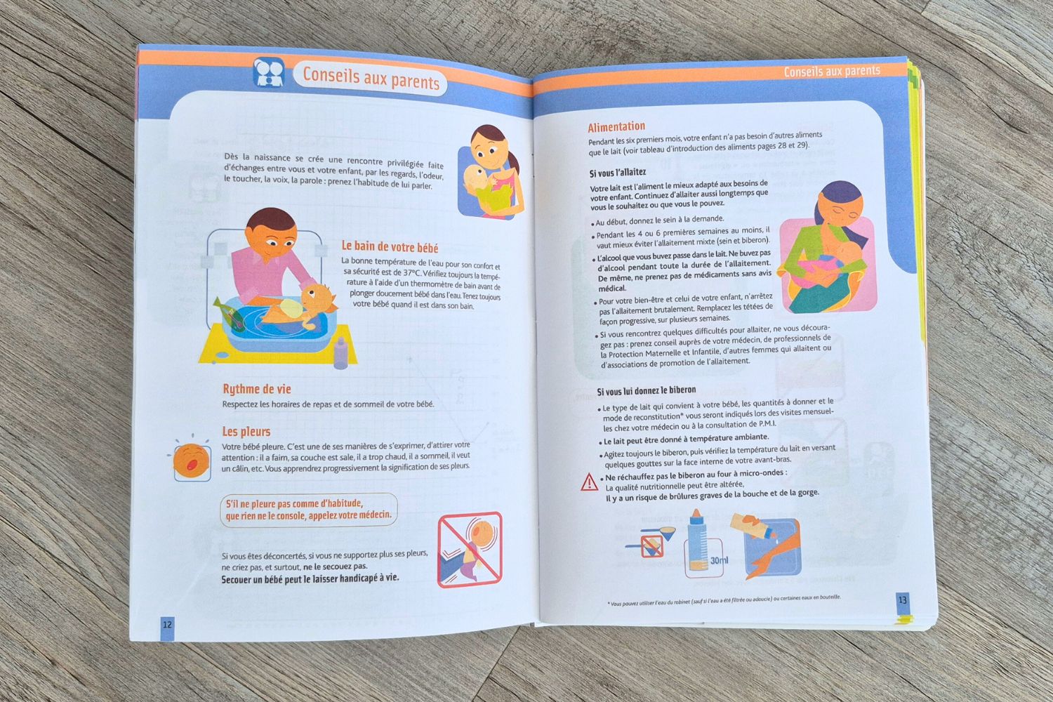 Double page à l'intérieur du carnet de santé bébé, qui explique le développement de l'enfant.