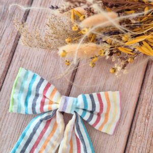 Barrette Maxi Nœud Rayure multicolore